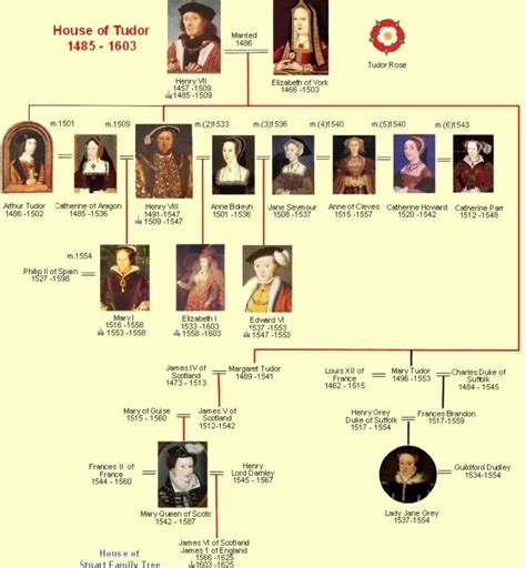 henry vii family tree.